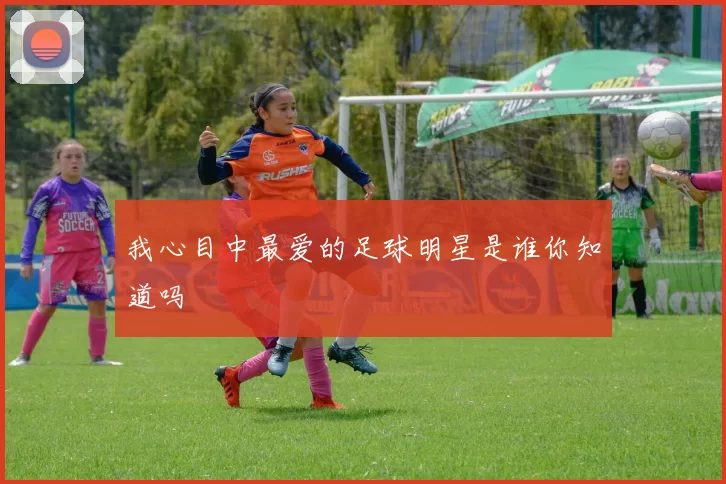 我心目中最爱的足球明星是谁你知道吗
