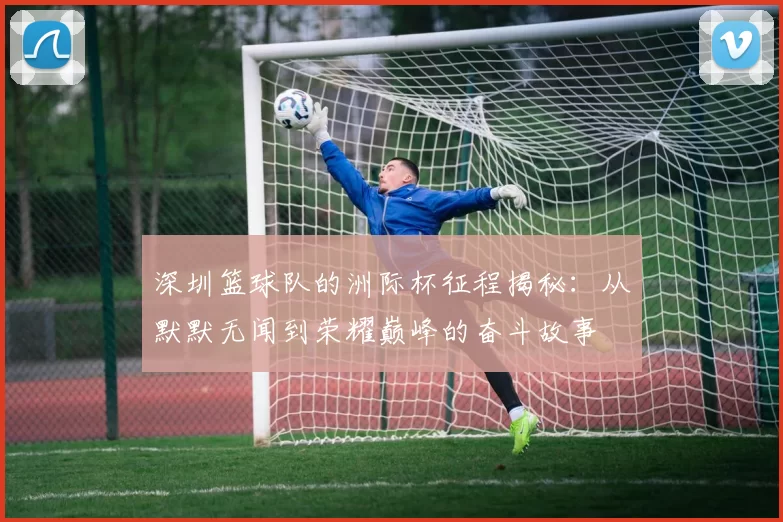 深圳篮球队的洲际杯征程揭秘：从默默无闻到荣耀巅峰的奋斗故事