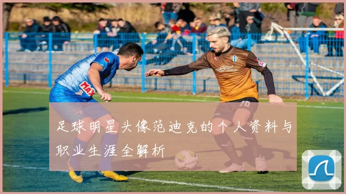 足球明星头像范迪克的个人资料与职业生涯全解析