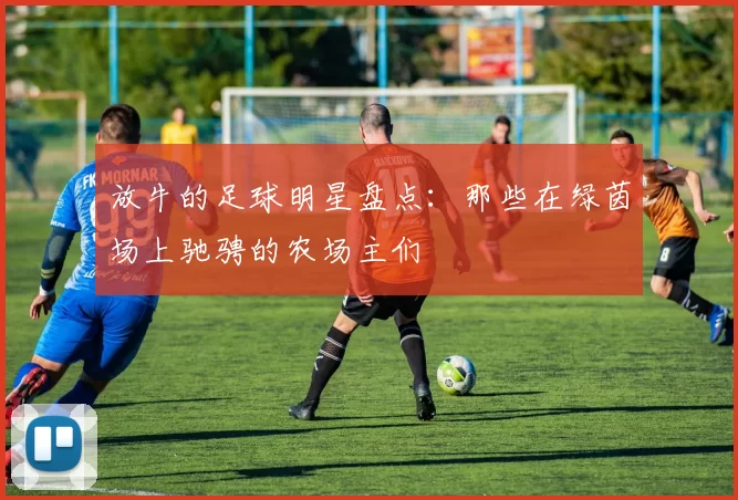 放牛的足球明星盘点：那些在绿茵场上驰骋的农场主们