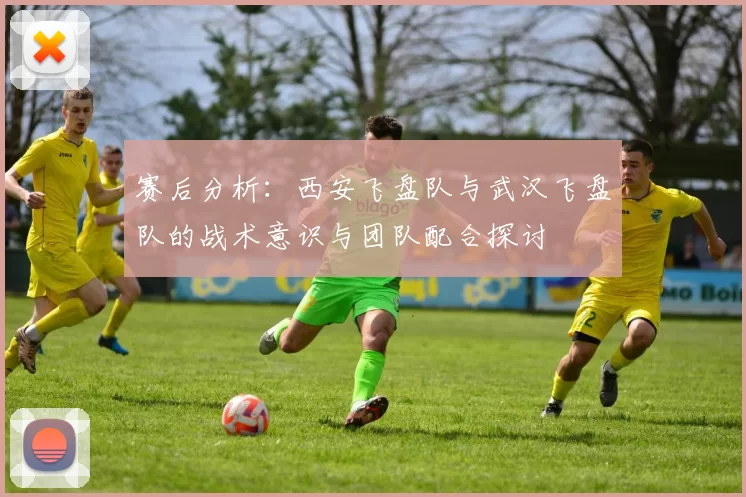 赛后分析：西安飞盘队与武汉飞盘队的战术意识与团队配合探讨
