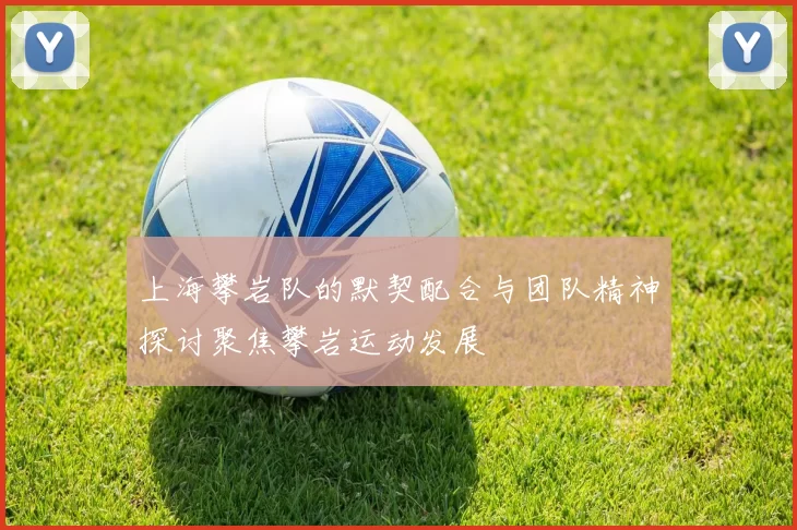 上海攀岩队的默契配合与团队精神探讨聚焦攀岩运动发展
