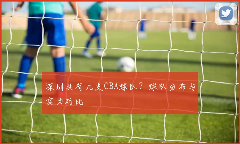 深圳共有几支CBA球队？球队分布与实力对比