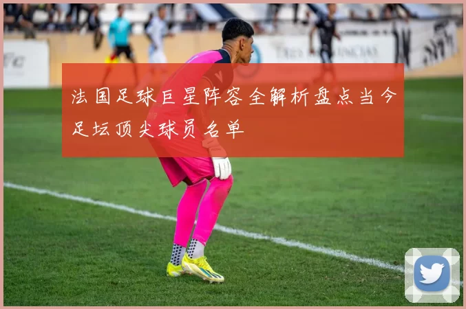 法国足球巨星阵容全解析盘点当今足坛顶尖球员名单