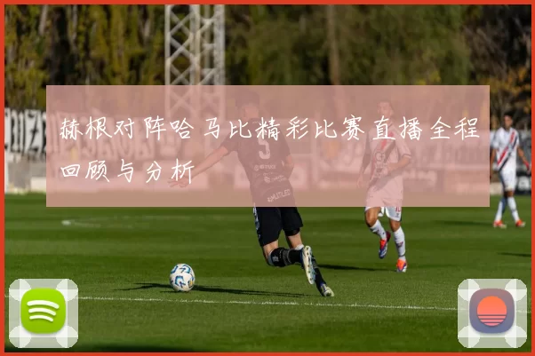 赫根对阵哈马比精彩比赛直播全程回顾与分析