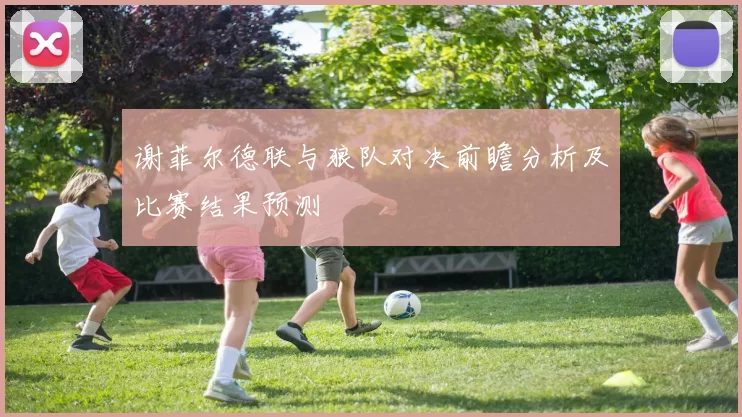 谢菲尔德联与狼队对决前瞻分析及比赛结果预测