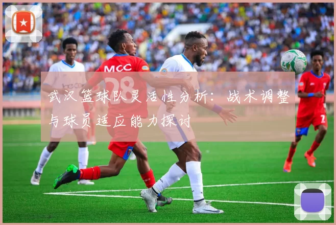 武汉篮球队灵活性分析：战术调整与球员适应能力探讨